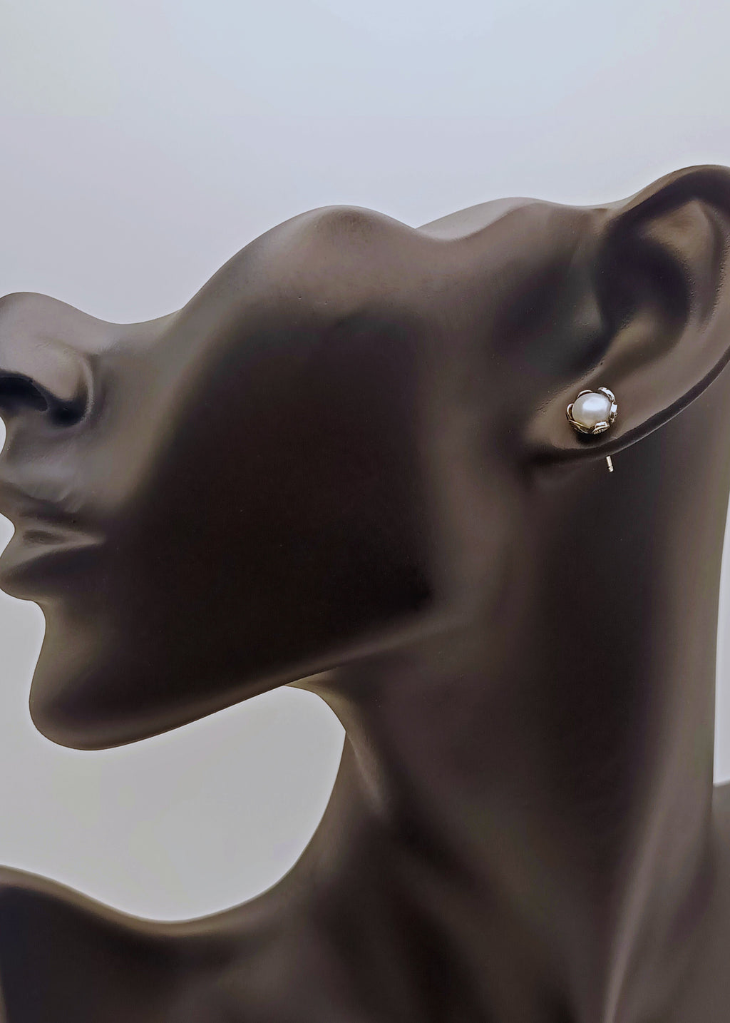 Pendientes Mosquitinho